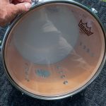 Remo Ambassador Clear on all the resonator heads.