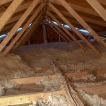 Throwback to my youth