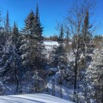 Love our winter