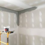 1st primer on the walls