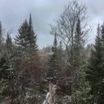 First view from my new roof